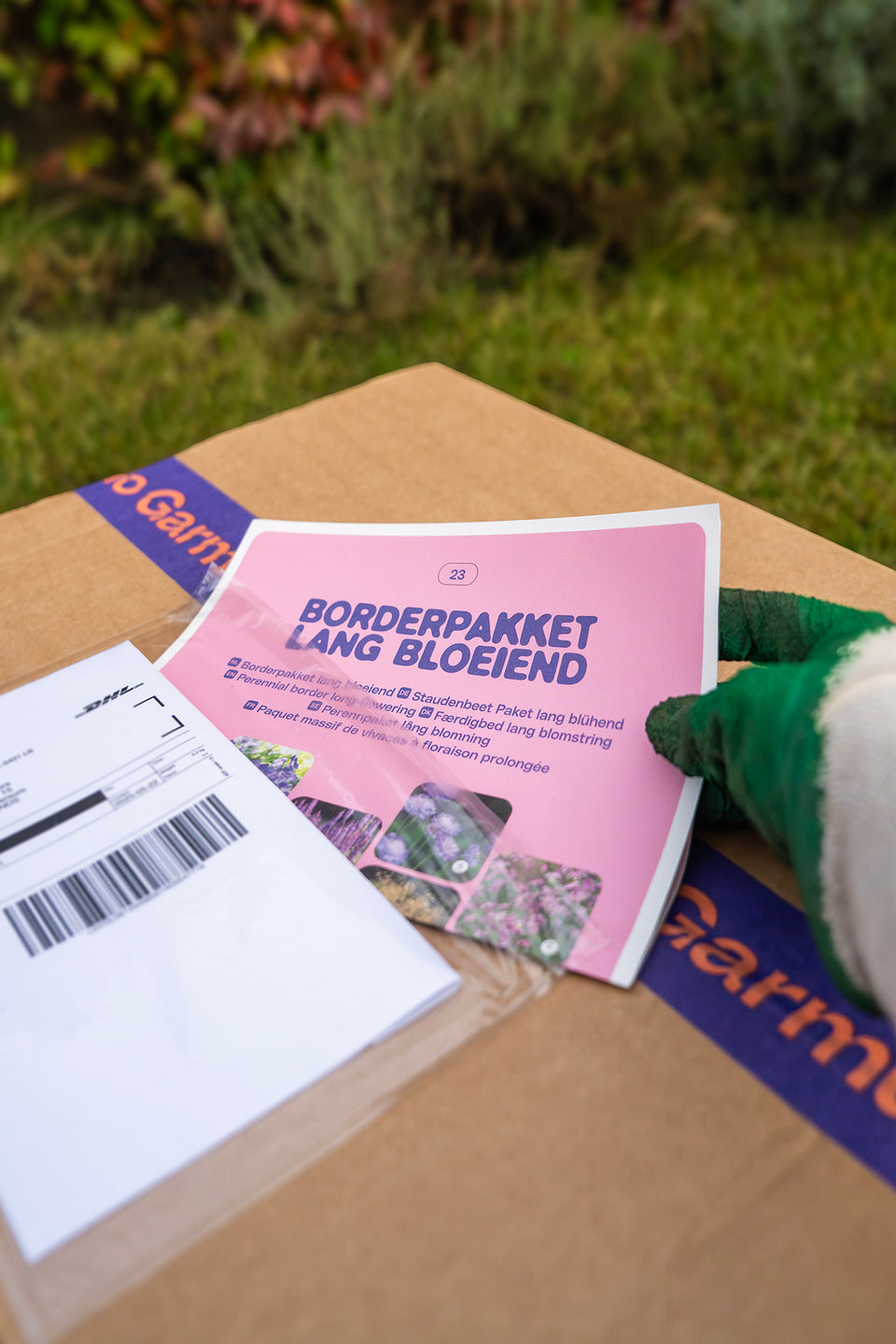 Staudenbeet Paket Langblühend