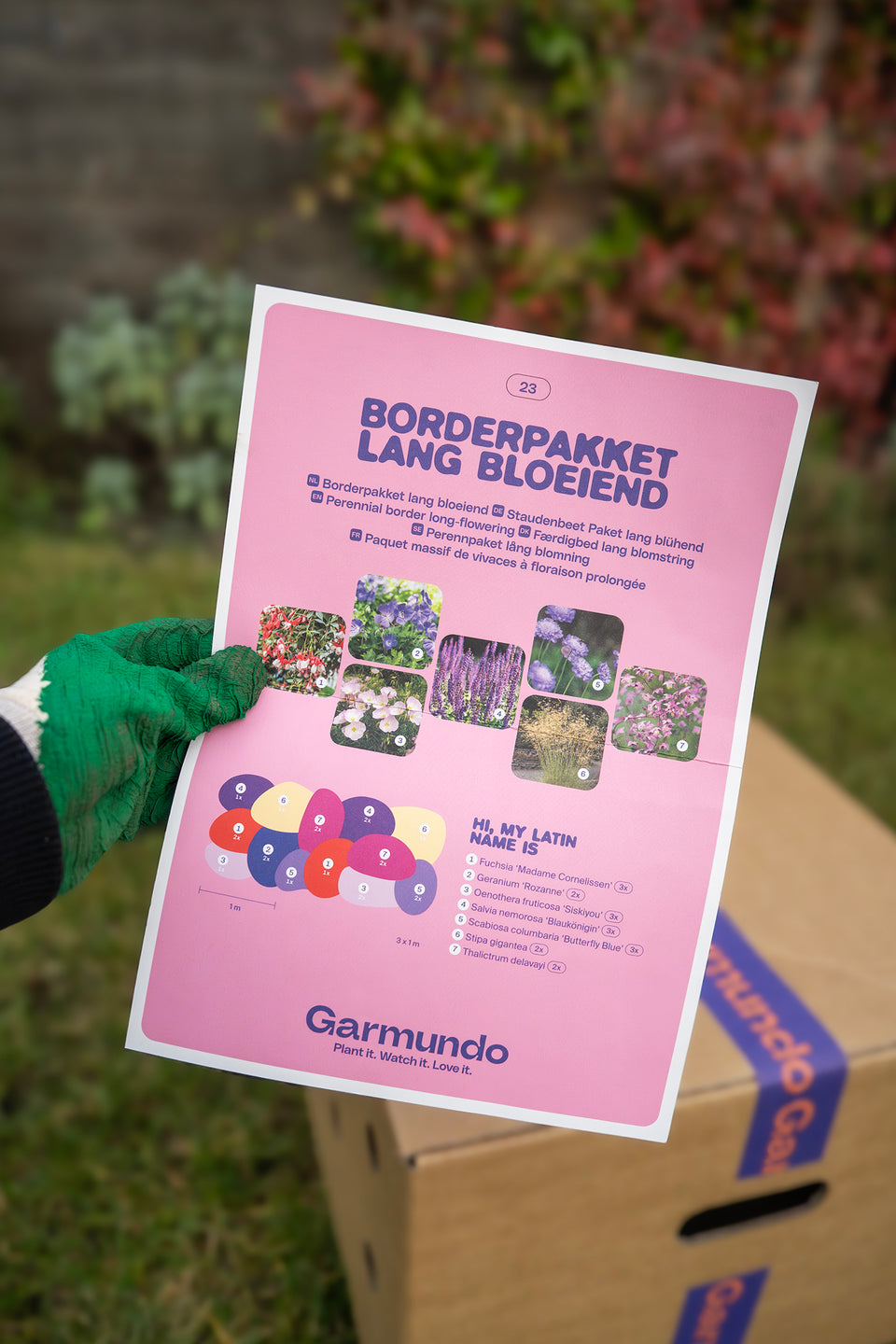 Staudenbeet Paket Langblühend